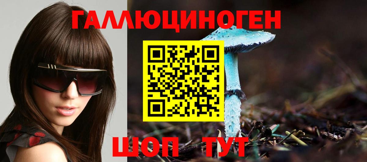 Псилоцибиновые грибы мицелий Белово