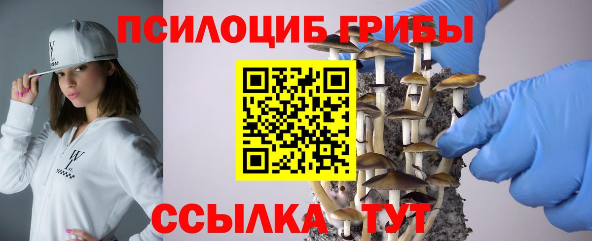 Белово  Псилоцибиновые грибы мицелий  Вход с VPN 